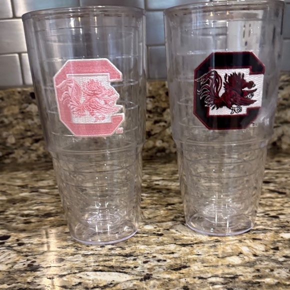 Other - 2 24oz Tervis Clear Tumbler Set with University of South Carolina logos.